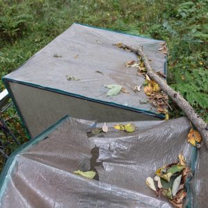 破損したビニール温室